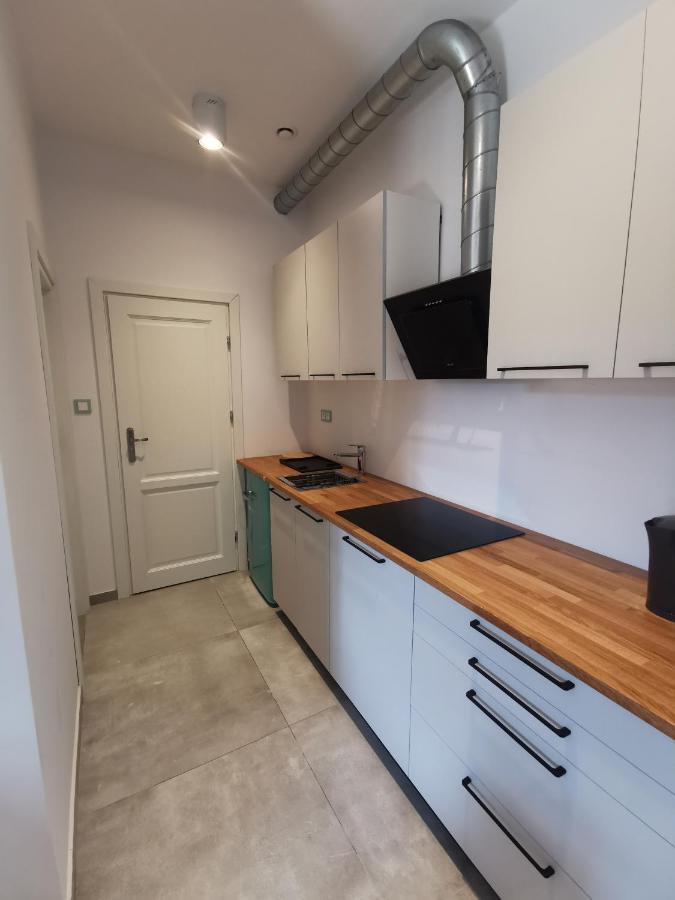 Nowe Apartamenty Zamkowa Vis A Vis Wawelu Краков Экстерьер фото