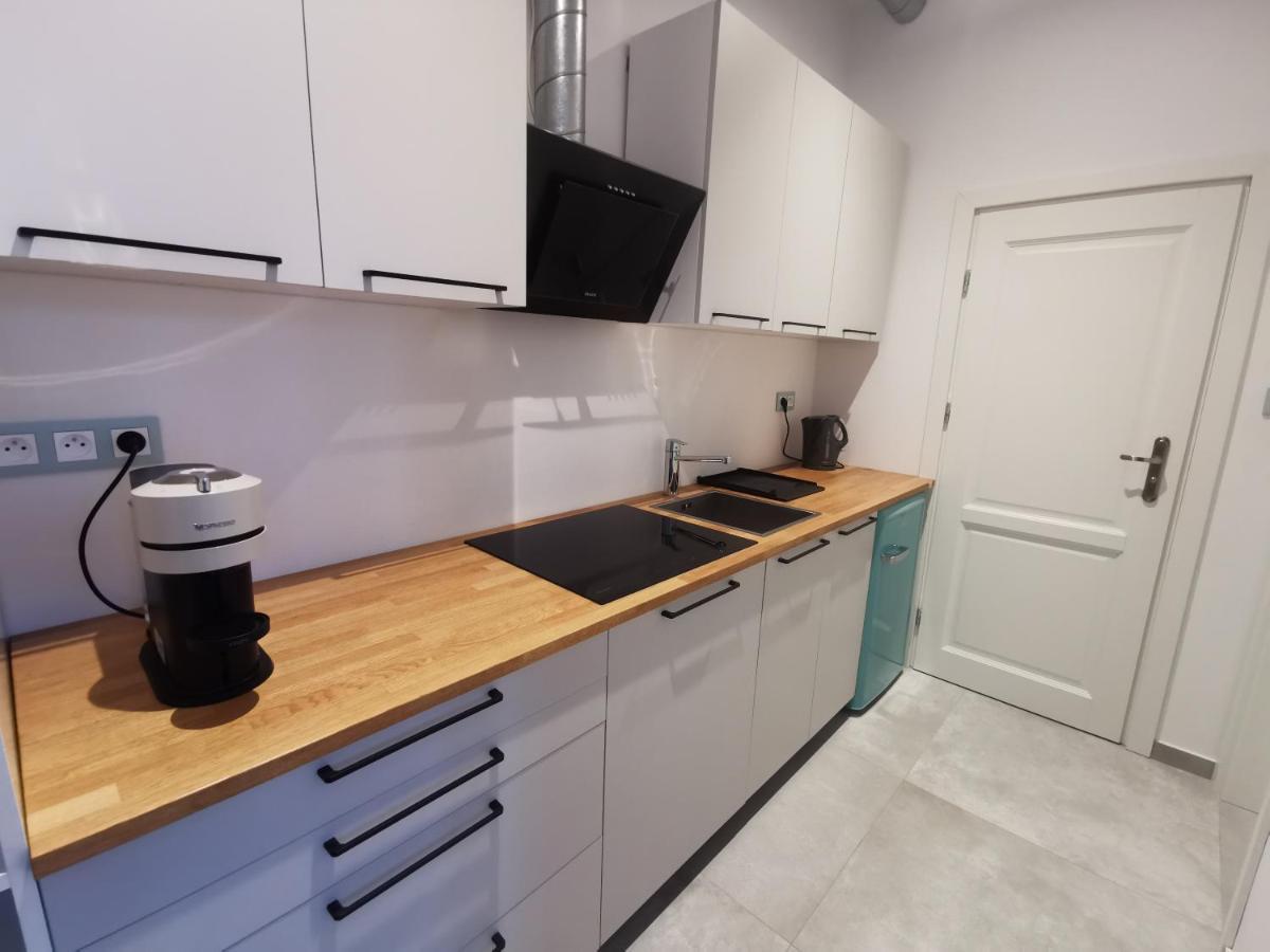 Nowe Apartamenty Zamkowa Vis A Vis Wawelu Краков Экстерьер фото