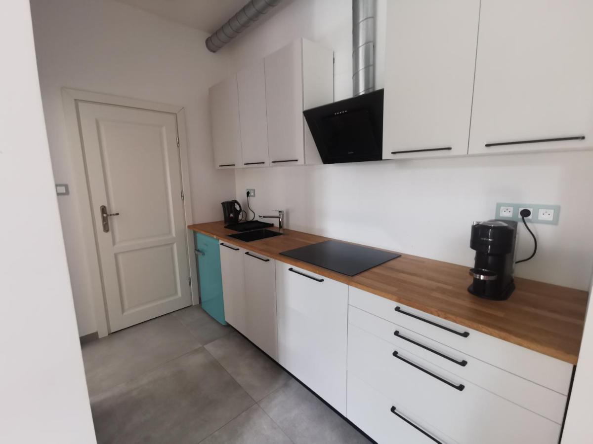 Nowe Apartamenty Zamkowa Vis A Vis Wawelu Краков Экстерьер фото